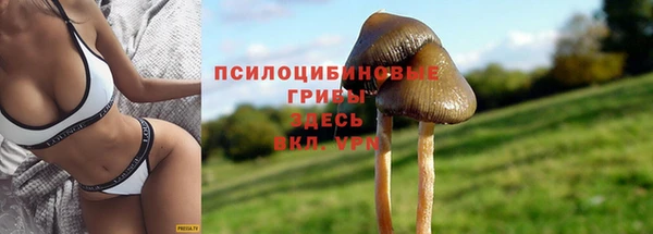 гидропоника Инта