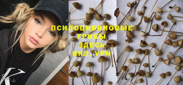 apvp Зеленодольск