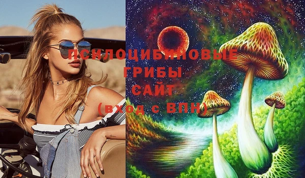 apvp Зерноград