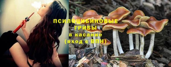 apvp Зерноград
