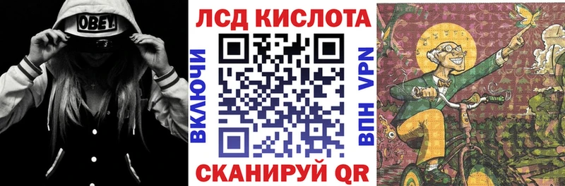 Купить закладки  Кимовск  Наркотические марки 1,5мг 
